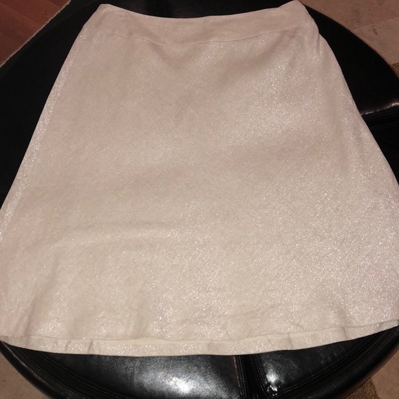 3/$25 Talbots A line Glitter Skirt - Picture 2 of 5